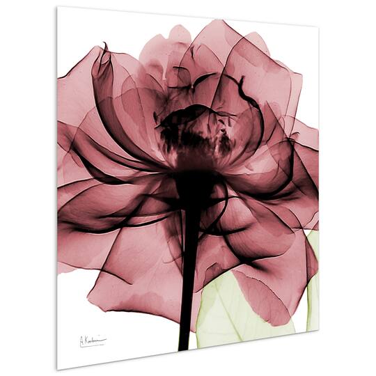 Empire Art Direct 24" x 24" Chianti Rose II Frameless Free Floating Printed Tempered Glass Wall Art
